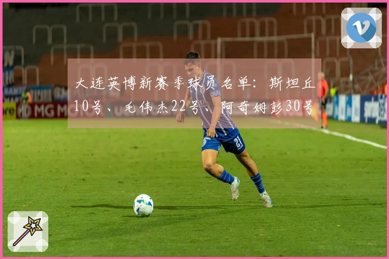 大连英博新赛季球员名单：斯坦丘10号、毛伟杰22号、阿奇姆彭30号