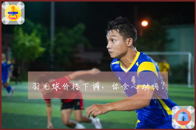 羽毛球价格下调，你会心动吗？