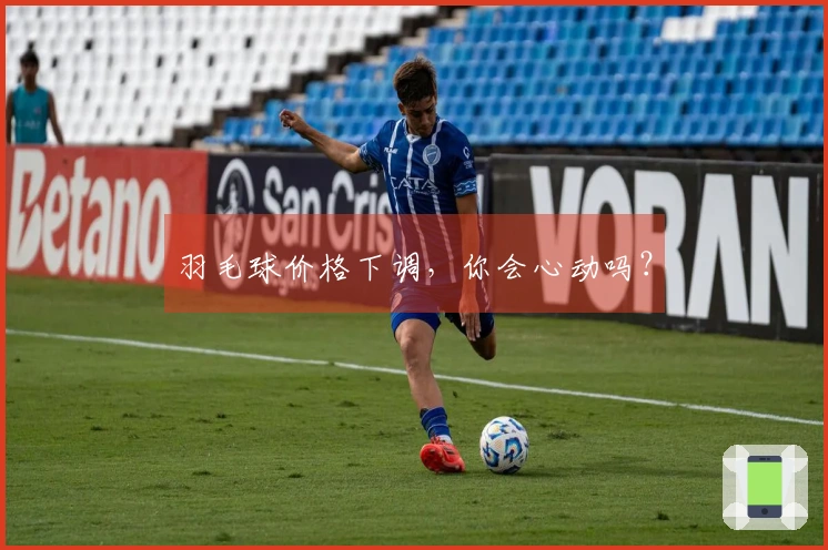 羽毛球价格下调，你会心动吗？