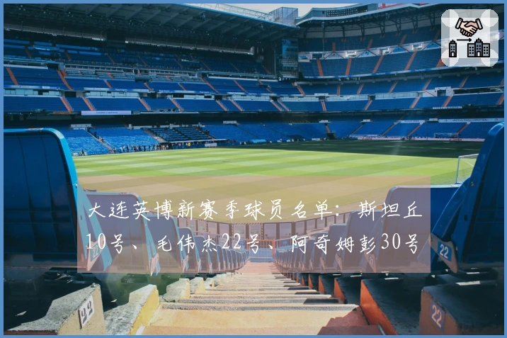 大连英博新赛季球员名单：斯坦丘10号、毛伟杰22号、阿奇姆彭30号