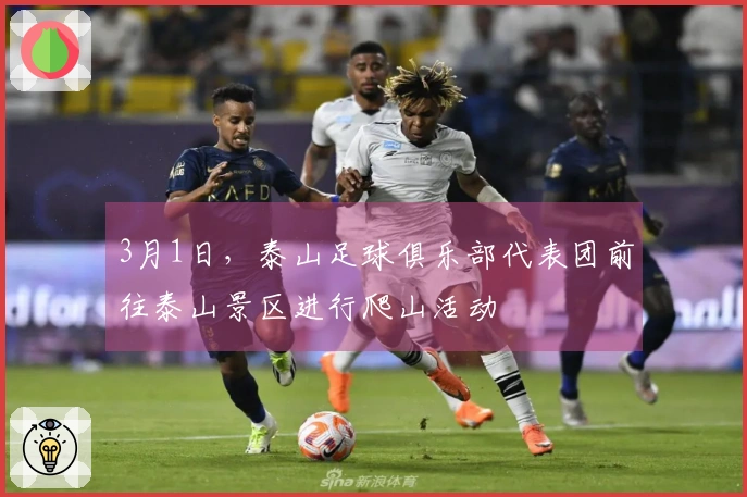 3月1日，泰山足球俱乐部代表团前往泰山景区进行爬山活动